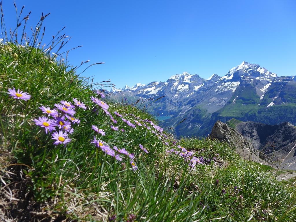 Hami Vila Adelboden Quarto foto